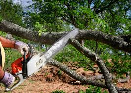 Soil Testing and Treatment in Red Bluff, CA